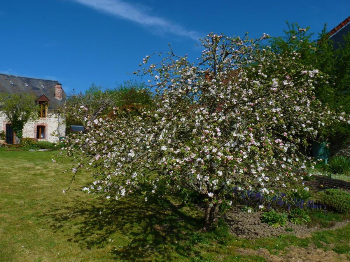 Een Prachtige Gite In Frankrijk Chez Gerard Vieilleville Exteriör bild